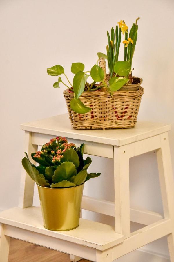 Your Home In Sevilla Bagian luar foto